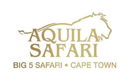 Aquila Safari
